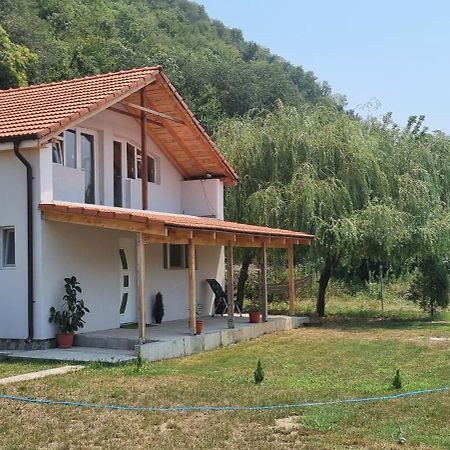 Vila Legrand Bazias Exterior photo