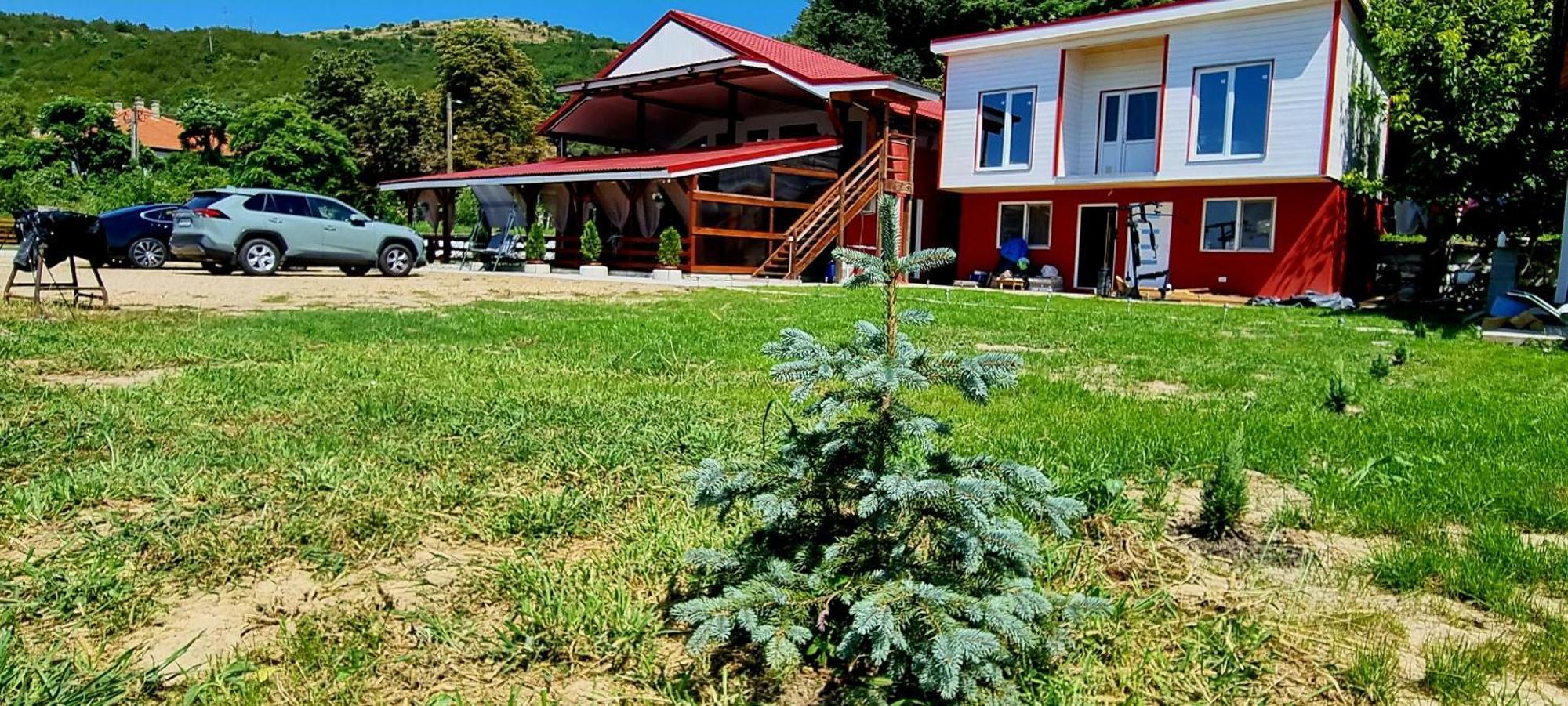 Vila Legrand Bazias Exterior photo